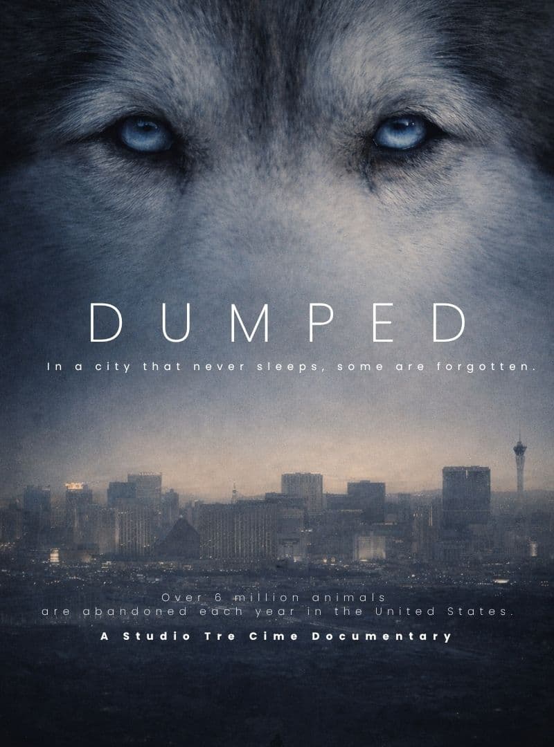 Dumped